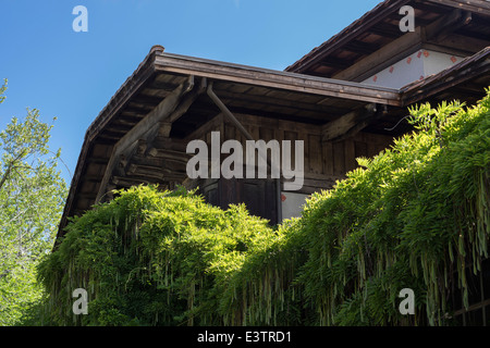 Classic Craftsman architecture, First Church of Christ Scientist, designed by Bernard Maybeck. Stock Photo