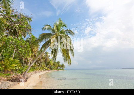 Deserted Starfish beach on the archipelago Bocas del Toro, Panama Stock Photo