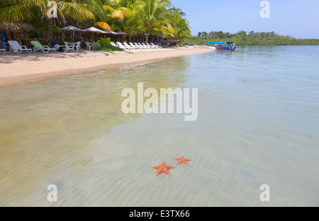 Deserted Starfish beach on the archipelago Bocas del Toro, Panama Stock Photo