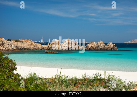 Famous unspoilt  Spiaggia Rosa beach at Cala di Roto,Budelli island, La Maddalena, Gallura region, Sardinia, Italy Stock Photo