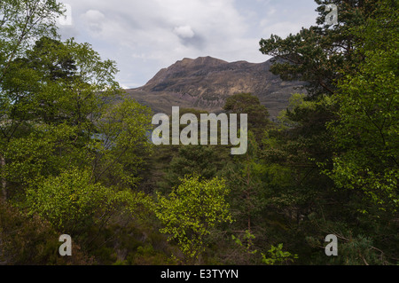 Slioch, Sleaghach, from Collie na Glas-leitire, Loch Maree, Wester-Ross Scotland Stock Photo