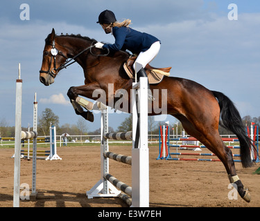 Horse show jump Stock Photo