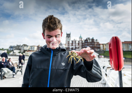 A teenage crabber holding a crab on Cromer Pier. Stock Photo