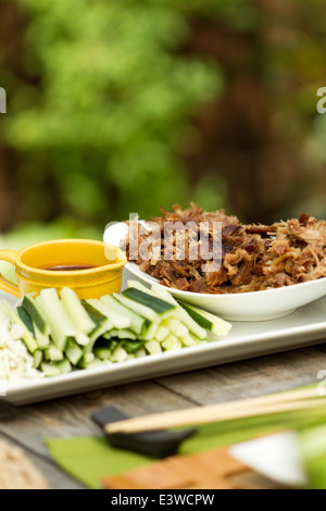 Crispy aromatic duck, shredded on a platter with cucumber and spring onion strips, and hoisin sauce Stock Photo