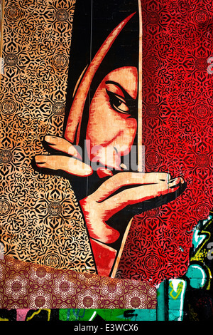 graffiti and street painting of woman in Melbourne Australia.  fitzroy lane way Stock Photo