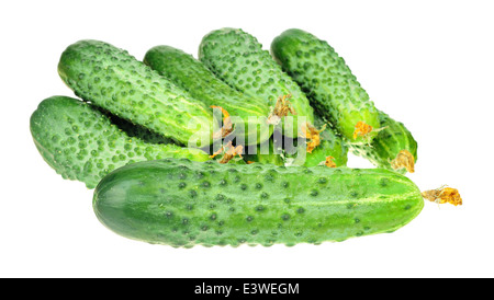 pile of cucumbers with dry flowers isolated over white background Stock Photo