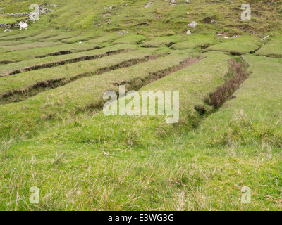 Abandoned Run-rig Strips, an Early System of Land Tenure and