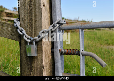 Chain and padlock on farm gate Stock Photo