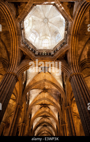 Interior of the Barcelona Cathedral (Cathedral of the Holy Cross and Saint Eulalia), Gothic vaulted ceiling with dome in Spain. Stock Photo