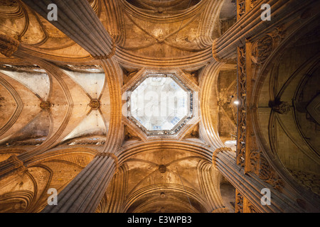 Gothic vaulted ceiling with dome of the Barcelona Cathedral (Cathedral of the Holy Cross and Saint Eulalia) in Catalonia, Spain. Stock Photo