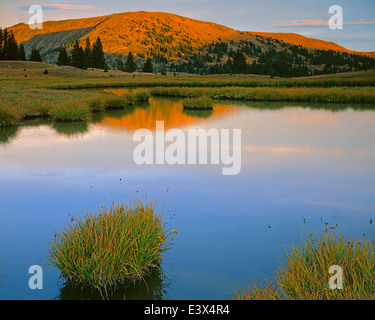 USA, Washington, Okanogan-Wenatchee National Forest National Forest, Pasayten Wilderness Stock Photo