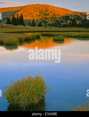 USA, Washington, Okanogan-Wenatchee National Forest National Forest, Pasayten Wilderness Stock Photo