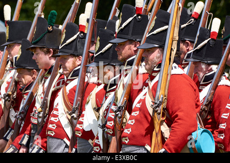 Military re-enactors dressed the Napoleonic Wars uniform of the British ...