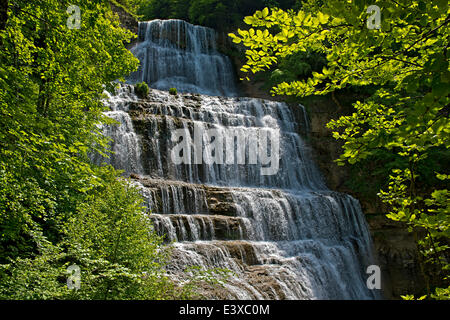 L&#39;Éventail waterfall, waterfalls of Herisson, Cascades du Hérisson, Ménétrux-en-Joux, Franche-Comté, France Stock Photo