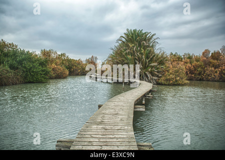 Israel, Northern District Ein Afek Nature Reserve on the Naaman River Stock Photo