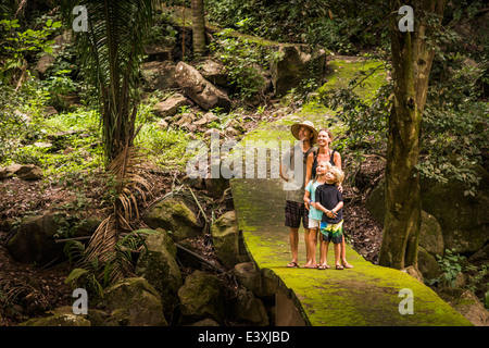 Caucasian family exploring jungle Stock Photo