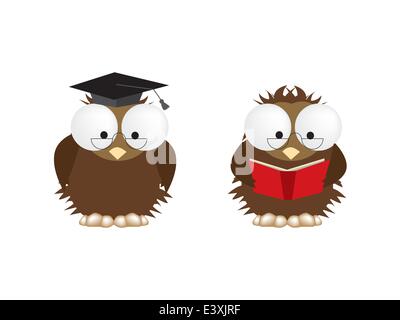 2 illustrations of studious owls, vector fully editable Stock Vector