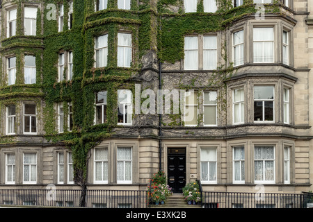 Ivy growing on the exterior of a house in Rothesay Terrace, Edinburgh New Town Stock Photo