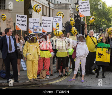 Whitehall, London, UK. 1st July 2014. Protesters in yellow and black swarm opposite the entrance to Downing Street before the Cabinet decides wether or not to allow neonicotinoid pesticides to be used on crops in the UK. Neonicotinoid pesticides are banned in Europe because of the danger to bees, which are major pollinators of food crops. They have been linked to a number of adverse ecological effects, including honey-bee colony collapse disorder Credit: Patricia Phillips/Alamy Live News Stock Photo