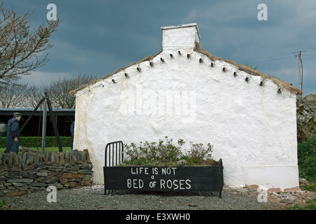 Doagh Famine Village: 'Life is not a bed of roses', referring to all the people, who died during the potato famine in Ireland. Stock Photo