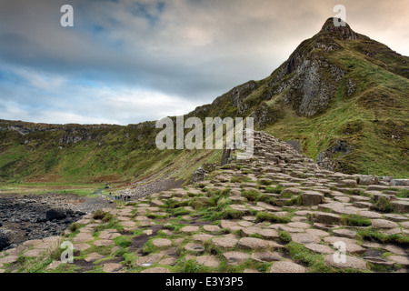 Giant's Causeway, Northern Ireland Stock Photo