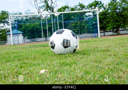 close up of black and white soccer on field with stadium background Stock Photo