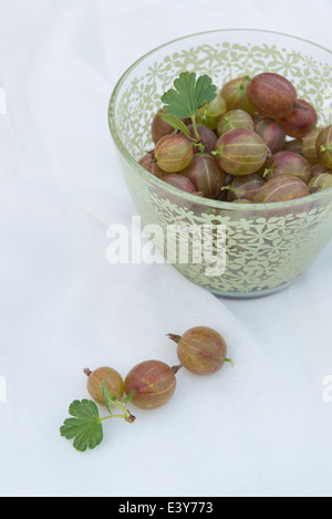 Fresh fruit gooseberries in a green bowl. Stock Photo