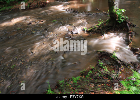 Knapp and Papermill Nature Reserve, Worcestershire Stock Photo