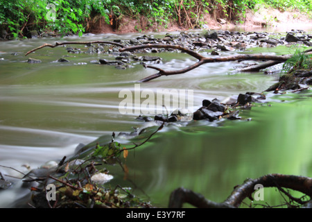 Knapp and Papermill Nature Reserve, Worcestershire Stock Photo