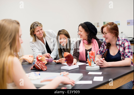 Biology students with anatomical models Stock Photo - Alamy