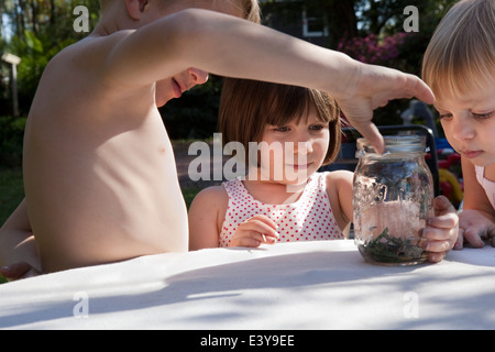 Boy and two sisters with green anole lizard and jar on garden table Stock Photo