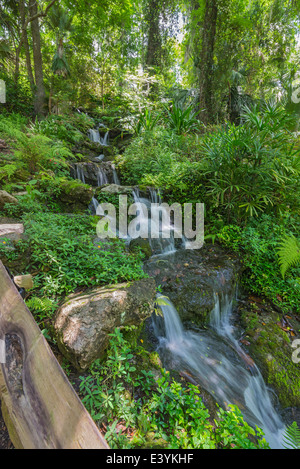 Rainbow Springs State Park is the source of the Rainbow River in North Central Florida. Stock Photo