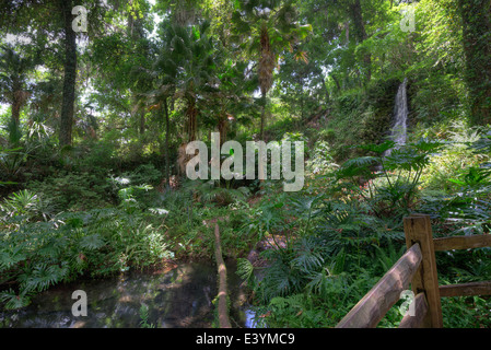 Rainbow Springs State Park is the source of the Rainbow River in North Central Florida. Stock Photo