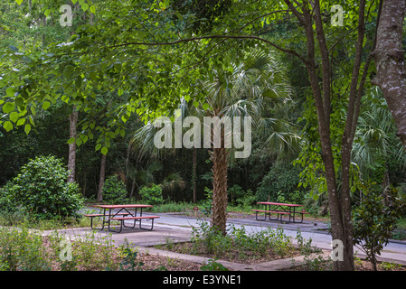 Rainbow Springs State Park is the source of the Rainbow River in North Central Florida. Stock Photo