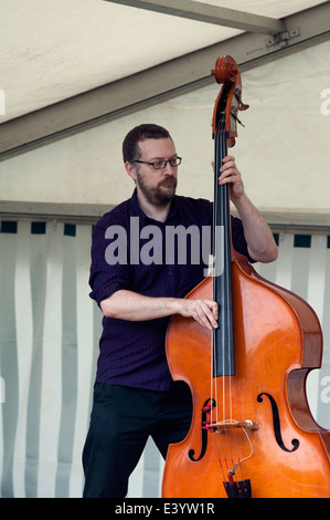 Man playing a double bass at Leamington Peace Festival, UK Stock Photo