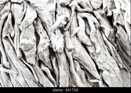 layered sun bleached drift wood beach combing results locked in intertwining interesting patterns shapes like jigsaw puzzle Stock Photo