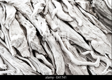 layered sun bleached drift wood beach combing results locked in intertwining interesting patterns shapes like jigsaw puzzle Stock Photo