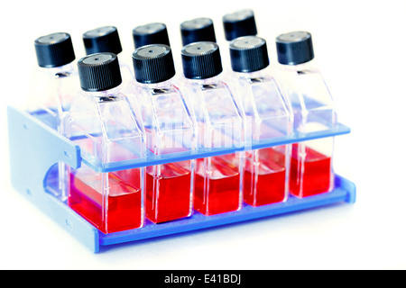 Testing the drug on the basis of stem cell Stock Photo