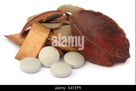 Medicinal Terminalia arjuna over white background Stock Photo