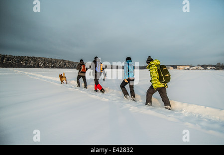 Group of friends and dog walking on snow Stock Photo