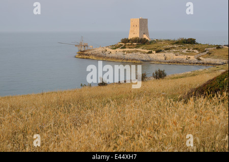 Trabucco, a typical fishing net house and an old view tower, Vieste coast, Foggia Gargano National Park, Puglia, Italy Stock Photo