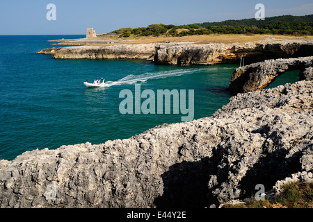 Coast of Gargano National Park, Puglia, Italy, Europe Stock Photo