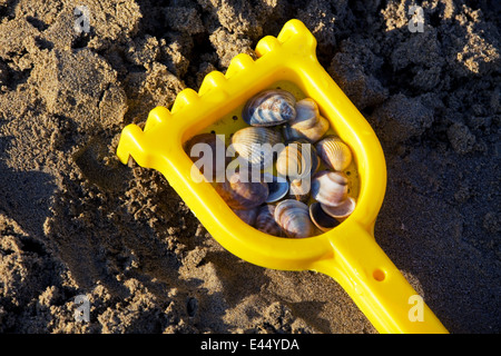 Children's toys on the beach on vacation. Memories of the holidays Stock Photo