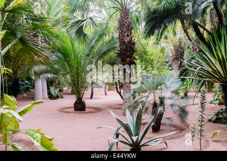 Les Jardins Majorelle, a memorial to Yves Saint Laurent, Marrakech, Morocco Stock Photo