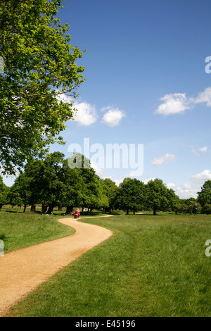 Tamsin Trail in Richmond Park, London, UK Stock Photo