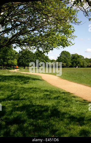 Tamsin Trail in Richmond Park, London, UK Stock Photo