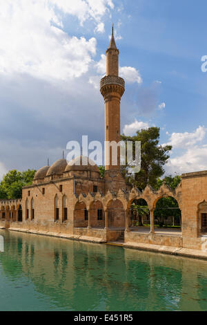 Pond of Abraham with Rizvaniye Mosque, Balıklıgöl pond and Rizvaniye Camii, Sanliurfa, Urfa, Şanlıurfa Stock Photo