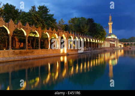 Pond of Abraham with Rizvaniye Mosque, Balıklıgöl pond and Rizvaniye Camii, Sanliurfa, Urfa, Şanlıurfa Stock Photo