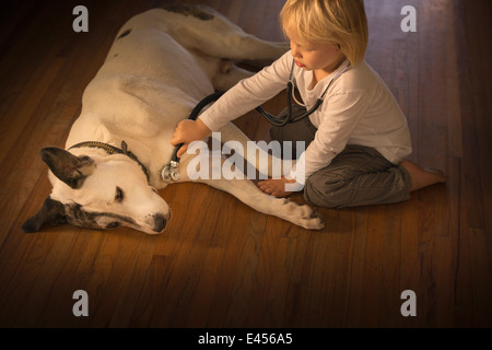 Three year old boy monitoring dog with stethoscope at home Stock Photo