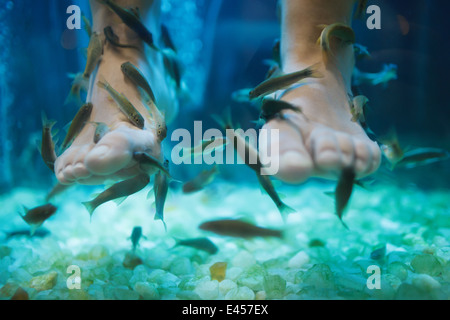 Fish spa pedicure wellness skin care treatment Stock Photo